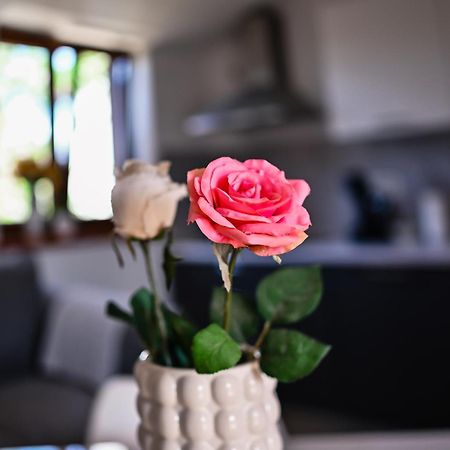 Apartment Barbara Бибинє Екстер'єр фото