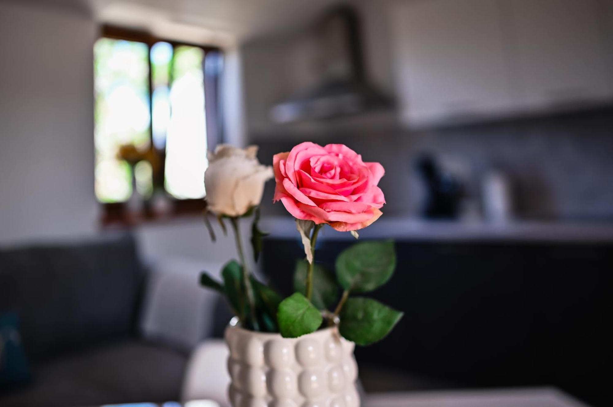 Apartment Barbara Бибинє Екстер'єр фото
